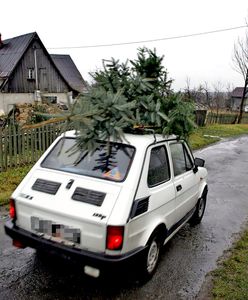 Kilkaset złotych mandatu za choinkę na dachu. Policjanci nie będą mieli litości