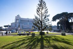 Choinka za 50 tys. euro może trafić do muzeum. Wcześniej wywołała skandal