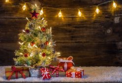 Wybieramy choinkę na Boże Narodzenie