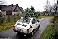 Kilkaset złotych mandatu za choinkę na dachu. Policjanci nie będą mieli litości
