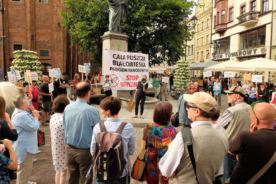 Toruń: protest przeciwko wycince drzew w Puszczy Białowieskiej