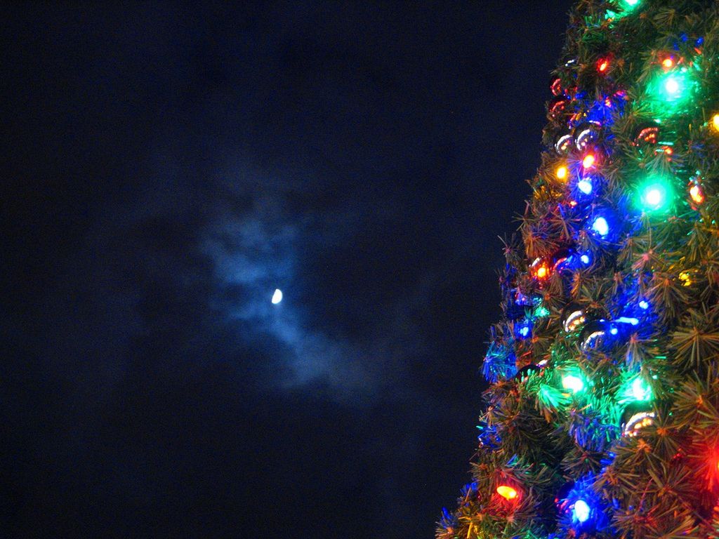 Najnowsza świąteczna prognoza pogody. Na wschodzie biało, na zachodzie deszcz
