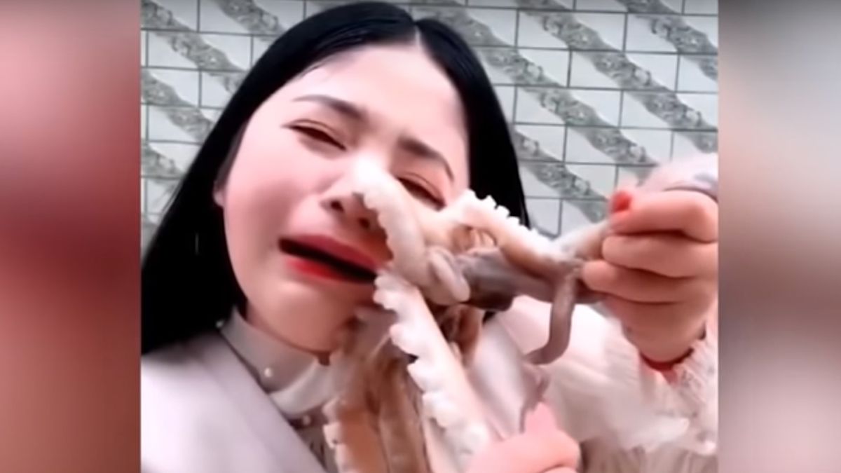 Ośmiornica zaatakowała Chinkę