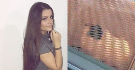 16-latka wsadziła świnkę morską do mikrofalówki