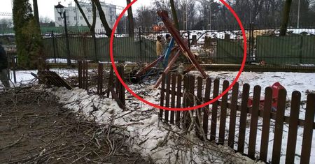 PKP wycina drzewa. Jedno runęło na plac zabaw. "Tam mogło się bawić moje dziecko"