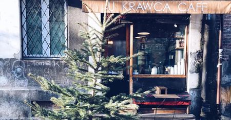 Warszawa. Ukradli choinkę, ale tuż po świętach oddali