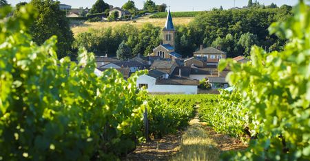 Święto wina czas zacząć! Beaujolais Nouveau i najbardziej szalone tradycje winiarskie na świecie