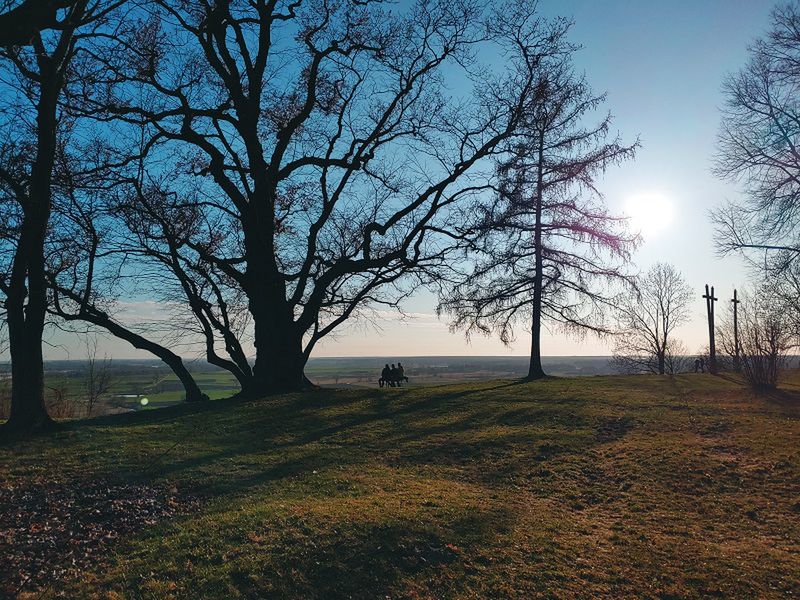 Park w Janowcu jest bardzo piękny, ale widok ze skarpy jeszcze piękniejszy. Zdjęcie zrobione smartfonem LG V40 Thinq. 