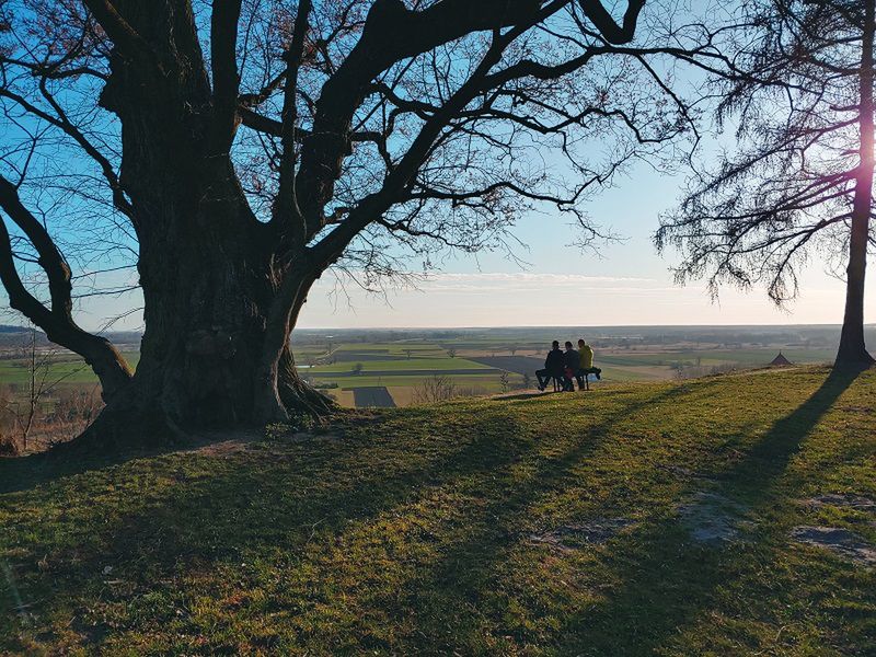 Park w Janowcu. Zdjęcie zrobione LG V40 Thinq