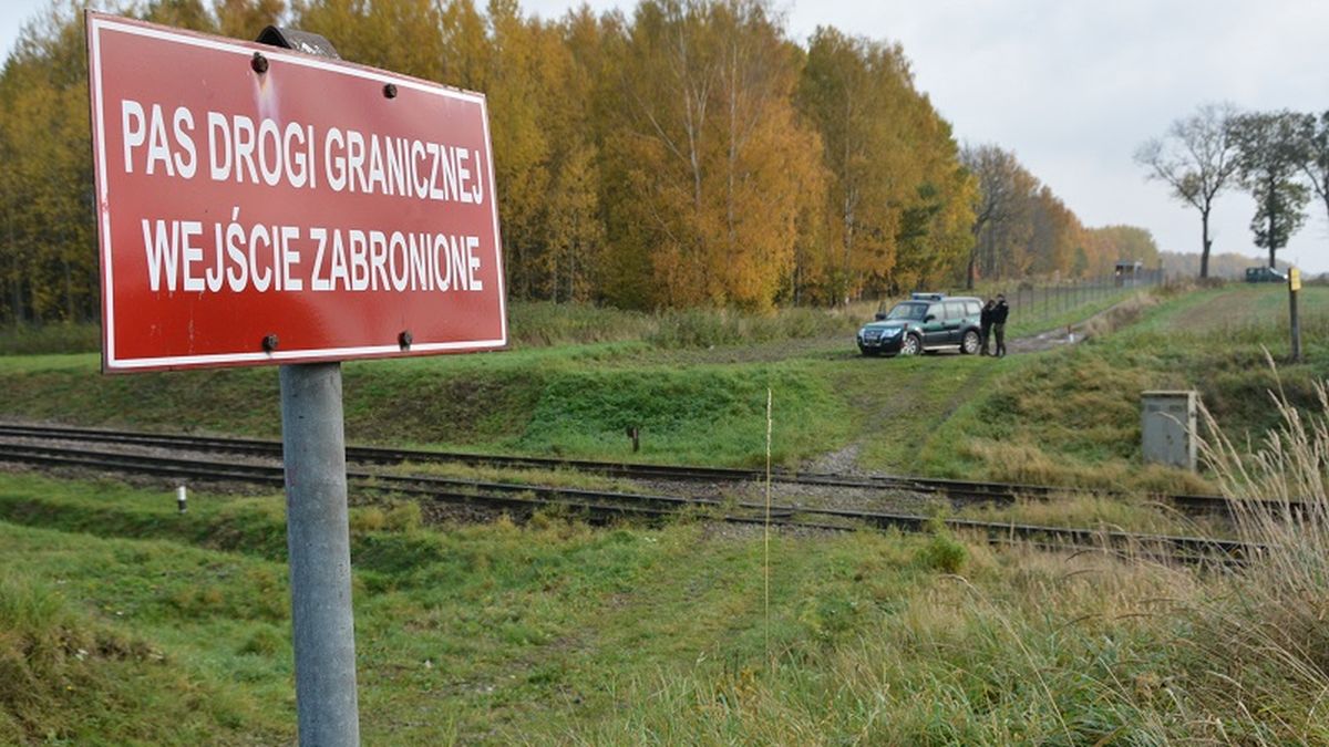 grzyby rosja warmińsko-mazurskie