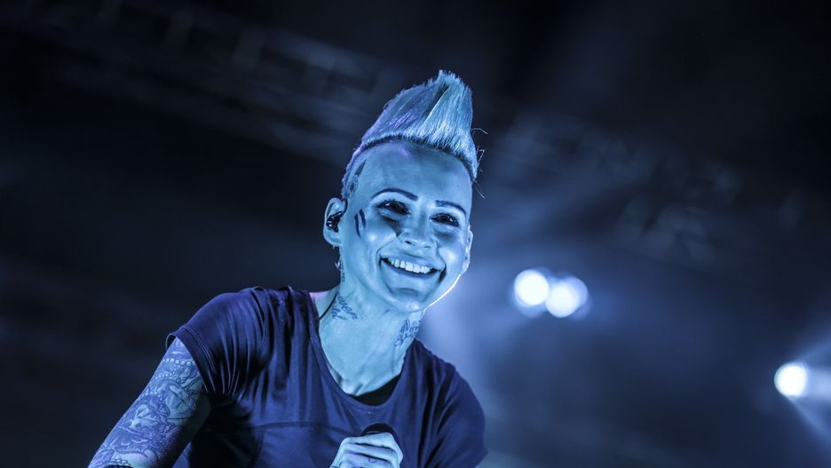 Agnieszka Chylińska zapowiada nowy album "Pink Punk"
