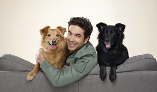 Marcin Dorociński pokazał w spocie swoje psy. Aktor zaadoptował je ze schroniska