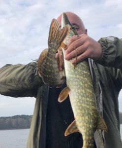 Joachim Brudziński chwali się szczupakiem. "Wróci do jeziora"