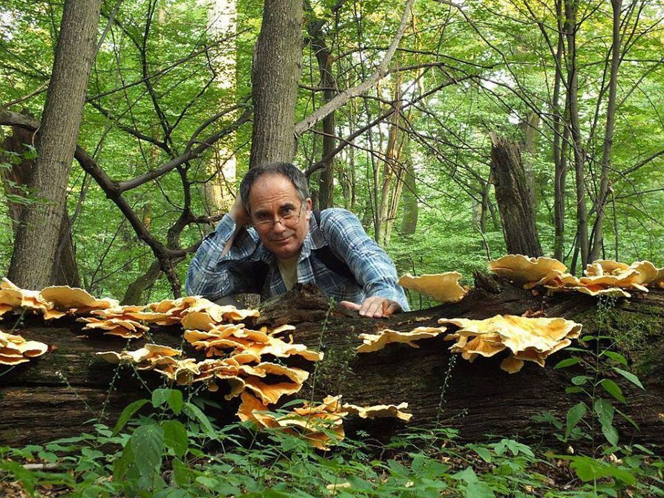 Polak na grzybobraniu. Pomylić muchomora z kanią, to jak nie odróżnić konia od krowy