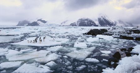 Silne trzęsienie ziemi na Oceanie Atlantyckim