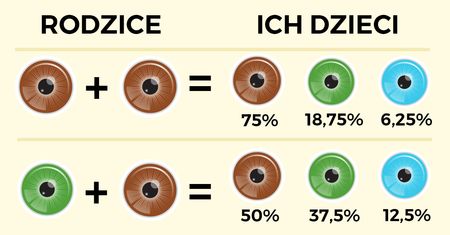 Szybki przewodnik jaki kolor oczu będą miały Wasze dzieci