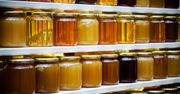 Jak przechowywać miód? Ten sposób jest najgorszy