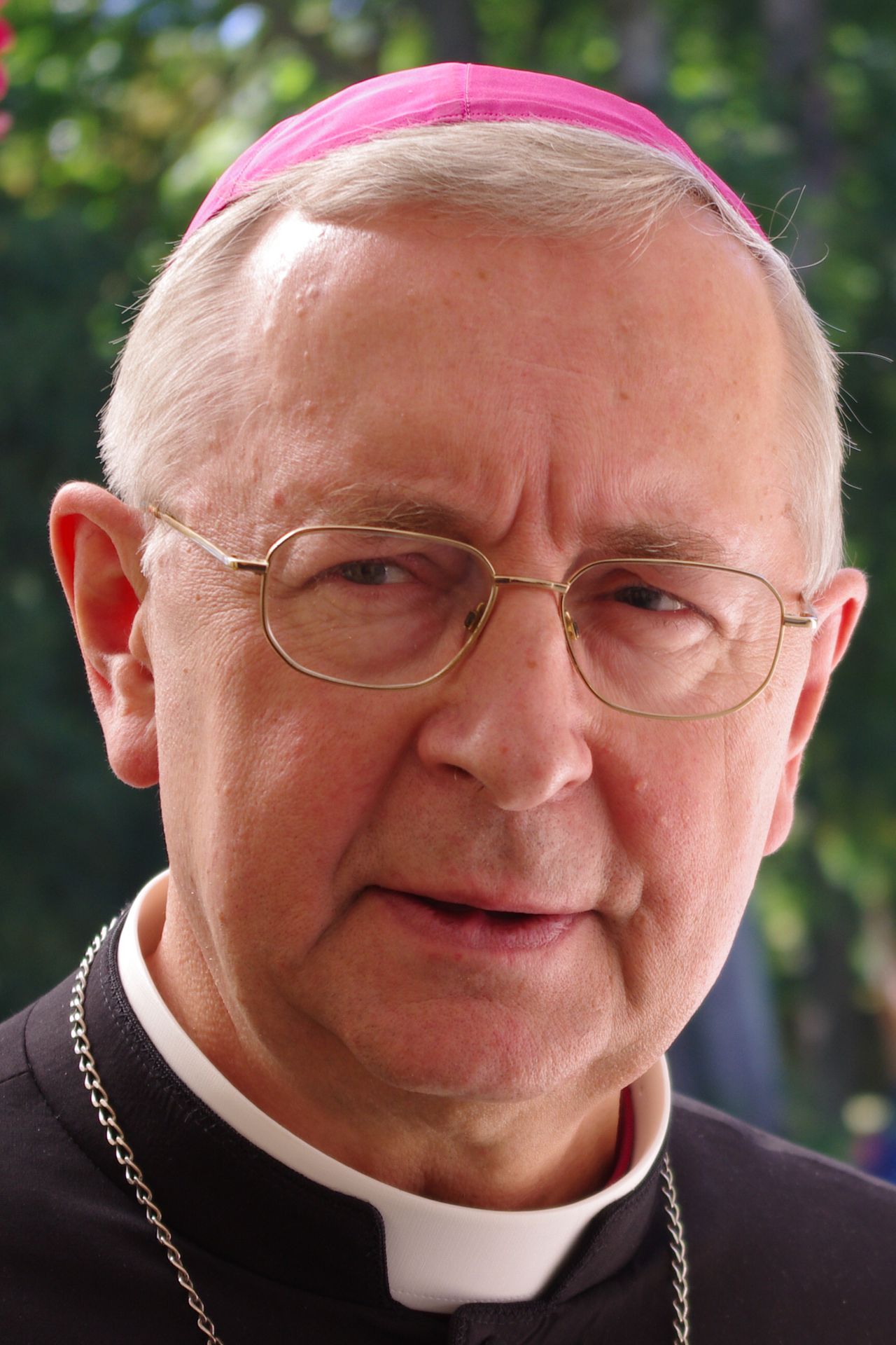 Abp Gądecki: życie społeczne domaga się pokoju