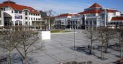 Koronawirus. Ziemia odetchnęła. "Są granice tego, ile może wytrzymać ekosystem"