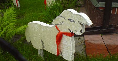 Trole i owieczki - zdjęcia Internautów