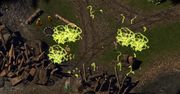 Zbieranie drużyny przed wyruszeniem w drogę potrwa nieco dłużej - Baldur's Gate: Enhanced Edition przesunięta