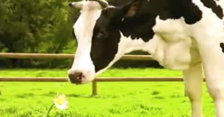 Te reklamy oglądaliśmy w latach 90. Pamiętasz je?