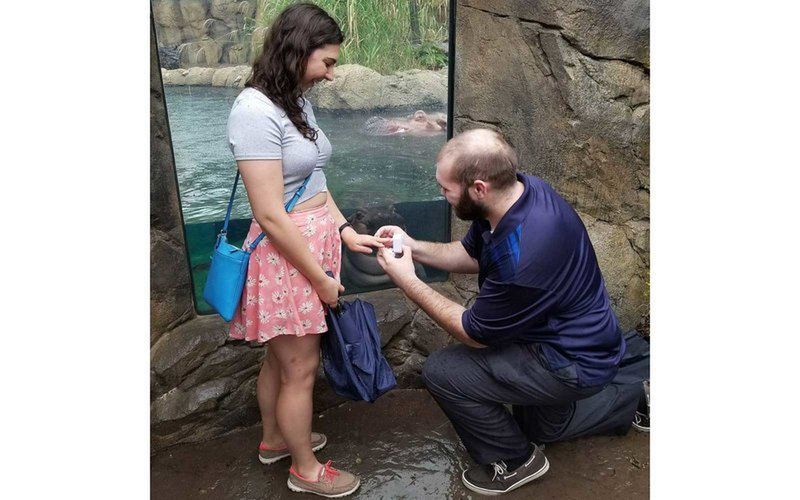 Mistrzyni drugiego planu. Hipopotamica z zoo w Cincinnati uświetniła zdjęcia zaręczynowe