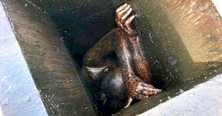 Przeżył horror. Strażacy z Kalifornii usłyszeli cichy głos