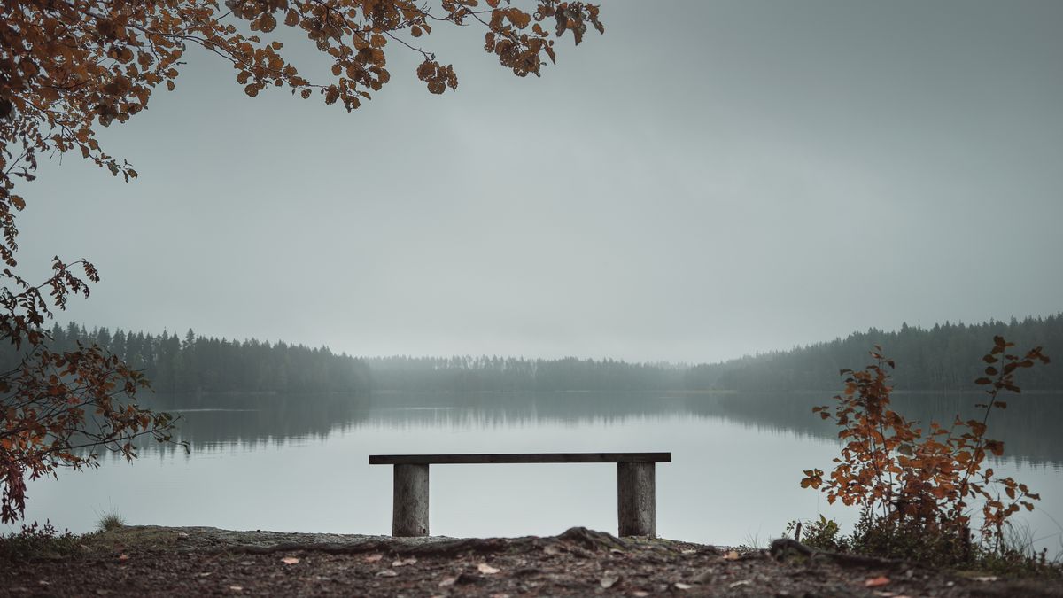 Jezioro Rusałka, Poznań: wyłowiono zwłoki zaginionej 46-latki