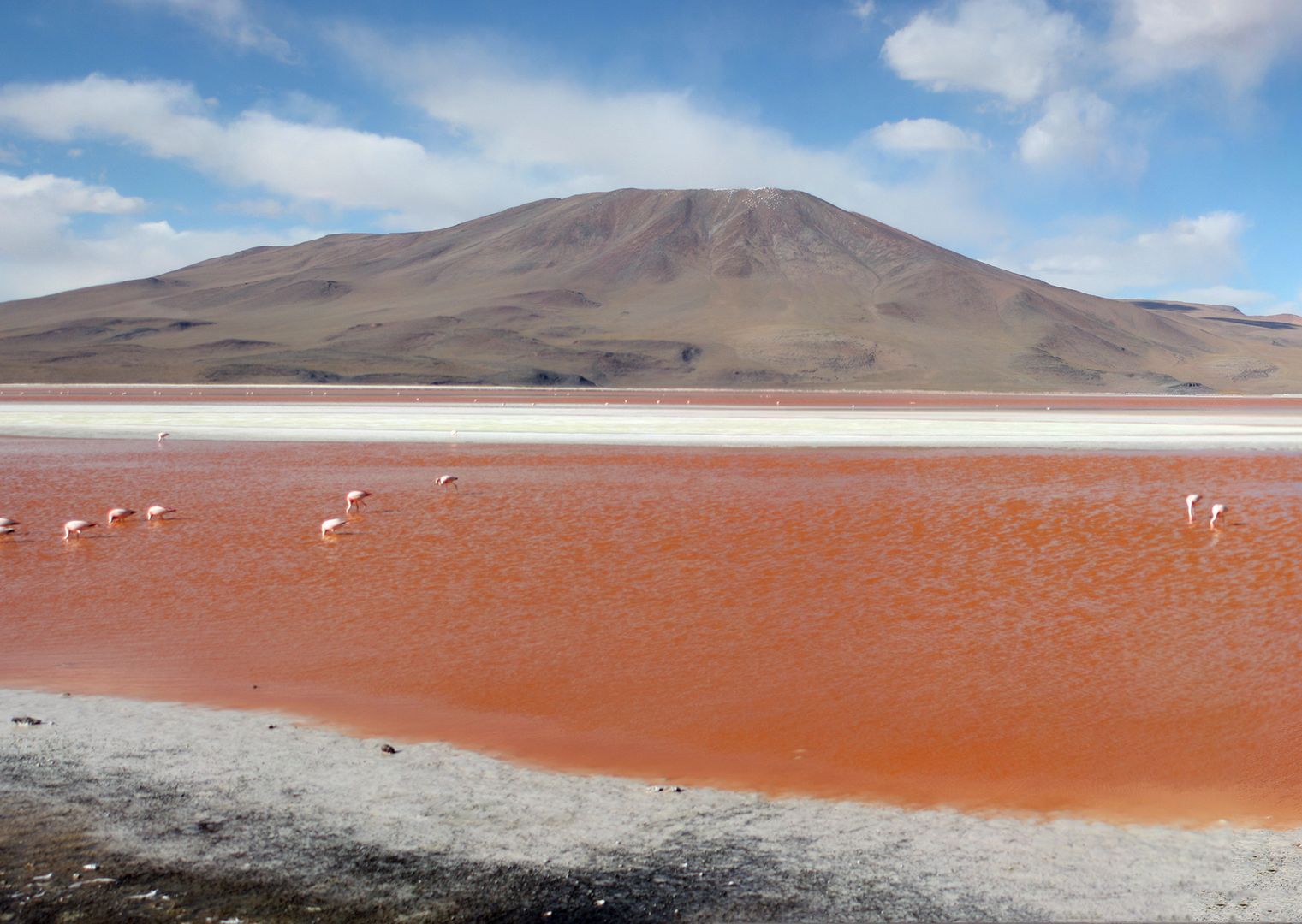 Laguna Colorada