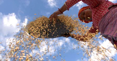 Ryż od kuchni