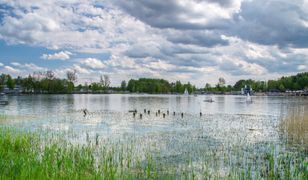 Olsztyn - ścieki w jeziorze Tyrsko. Pochodzą z pobliskiego hotelu?
