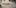 Amazon zatrudnia do prac nad &quot;ambitną grą na PC&quot;