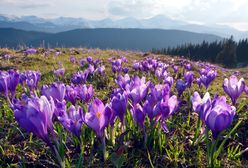 Prognoza Pogody na dziś – środa 13 marca. Sprawdź, jaka będzie dziś pogoda w największych miastach w Polsce