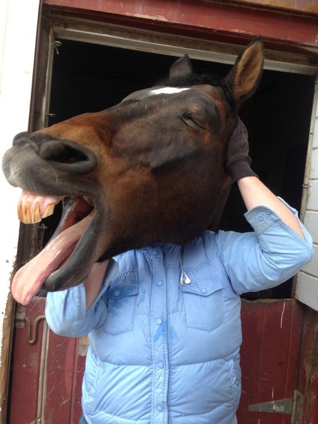Obrazek