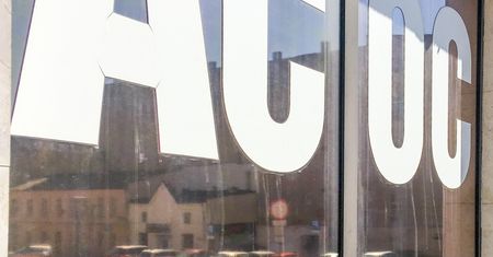 OC w życiu prywatnym. Dziecko zepsuje, pies ugryzie - zapłaci ubezpieczyciel