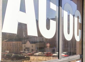 OC w życiu prywatnym. Dziecko zepsuje, pies ugryzie - zapłaci ubezpieczyciel