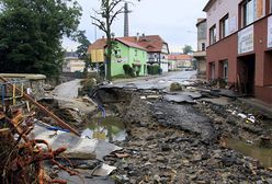 Tego nikt się nie spodziewał