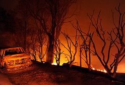 Płoną wzgórza w Kalifornii