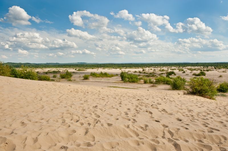 Jura Krakowsko-Częstochowska - Klucze. Gmina na pustynnym szlaku