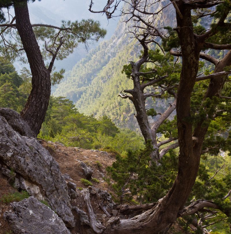 Kreta - zatoka Balos, przylądek Gramvousa i wąwóz Samaria
