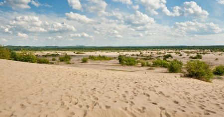 Jura Krakowsko-Częstochowska - Klucze. Gmina na pustynnym szlaku