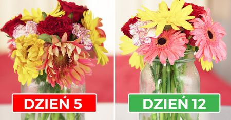 7 domowych sposobów, by cięte kwiaty stały dłużej. Nawet o tydzień!