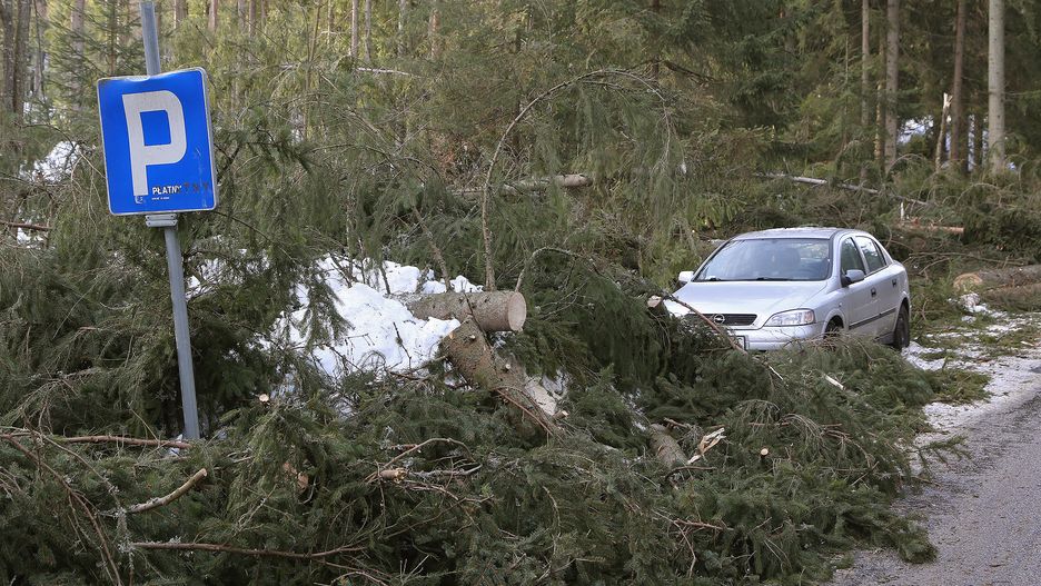 Na Podhalu wiele dróg blokują drzewa powalone przez porywy halnego.