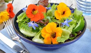 Czy znasz jadalne kwiaty?
