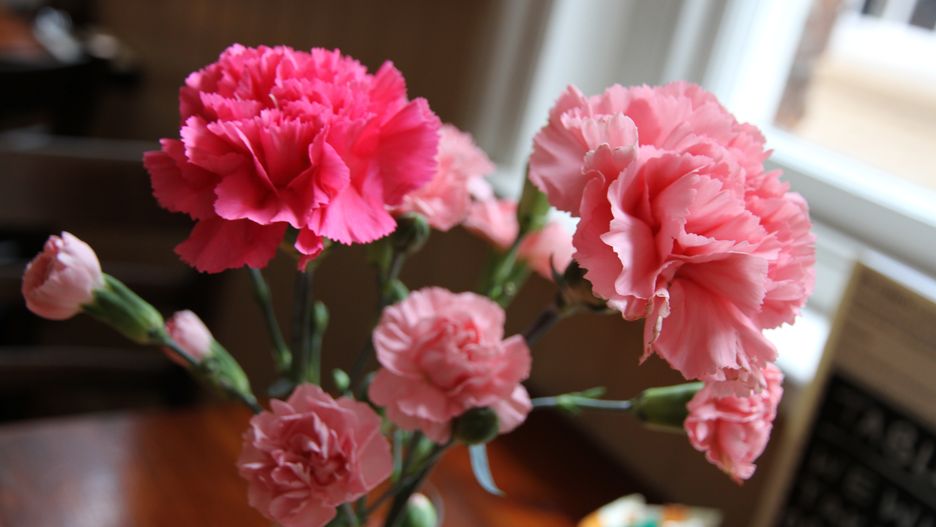 Dzień Kobiet 2020. Życzenia i wierszyki na 8 marca