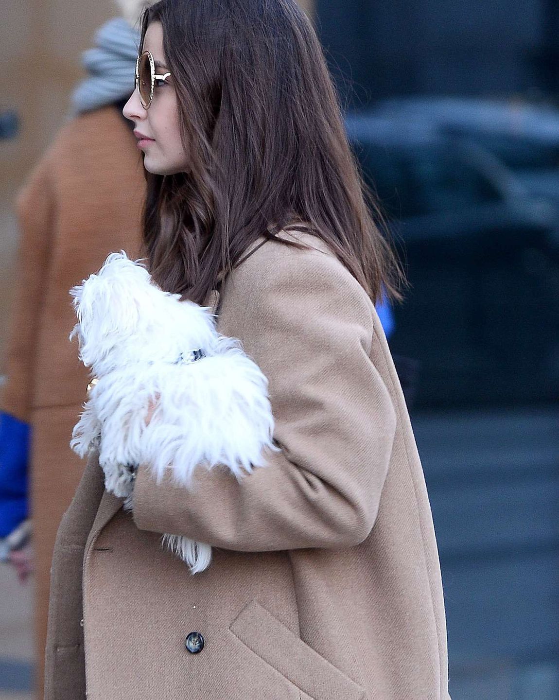 Jakiego psa ma Julia Wieniawa?