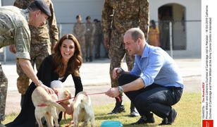 Księżna Kate i książę William w Pakistanie. Urocze zdjęcia z zabawy z psami