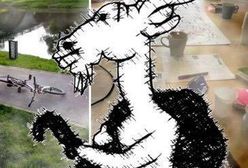 24. Ogólnopolska Nagroda Literacka im. Kornela Makuszyńskiego