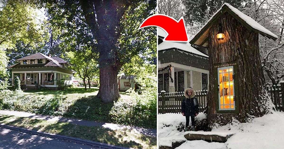 Kobieta zamieniła pień po 110-letnim drzewie w darmową bibliotekę. Jej sąsiedzi byli zachwyceni